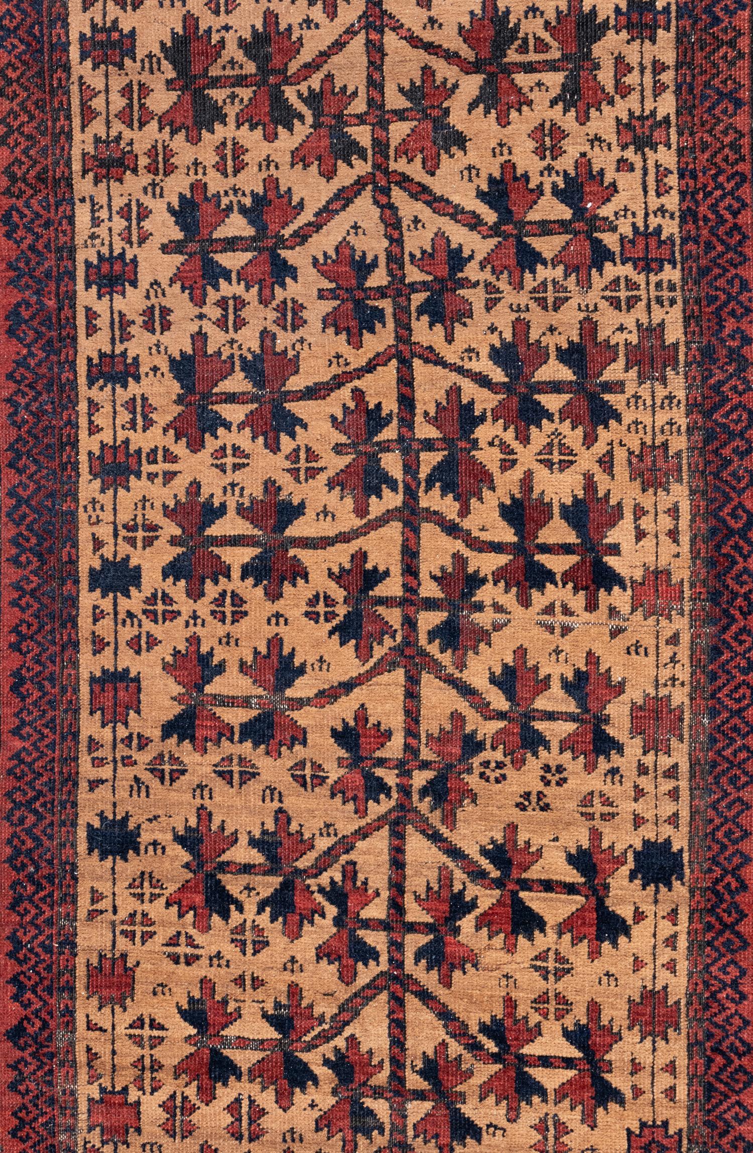 An Afghan Runner