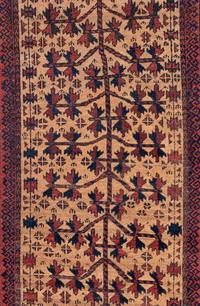 An Afghan Runner