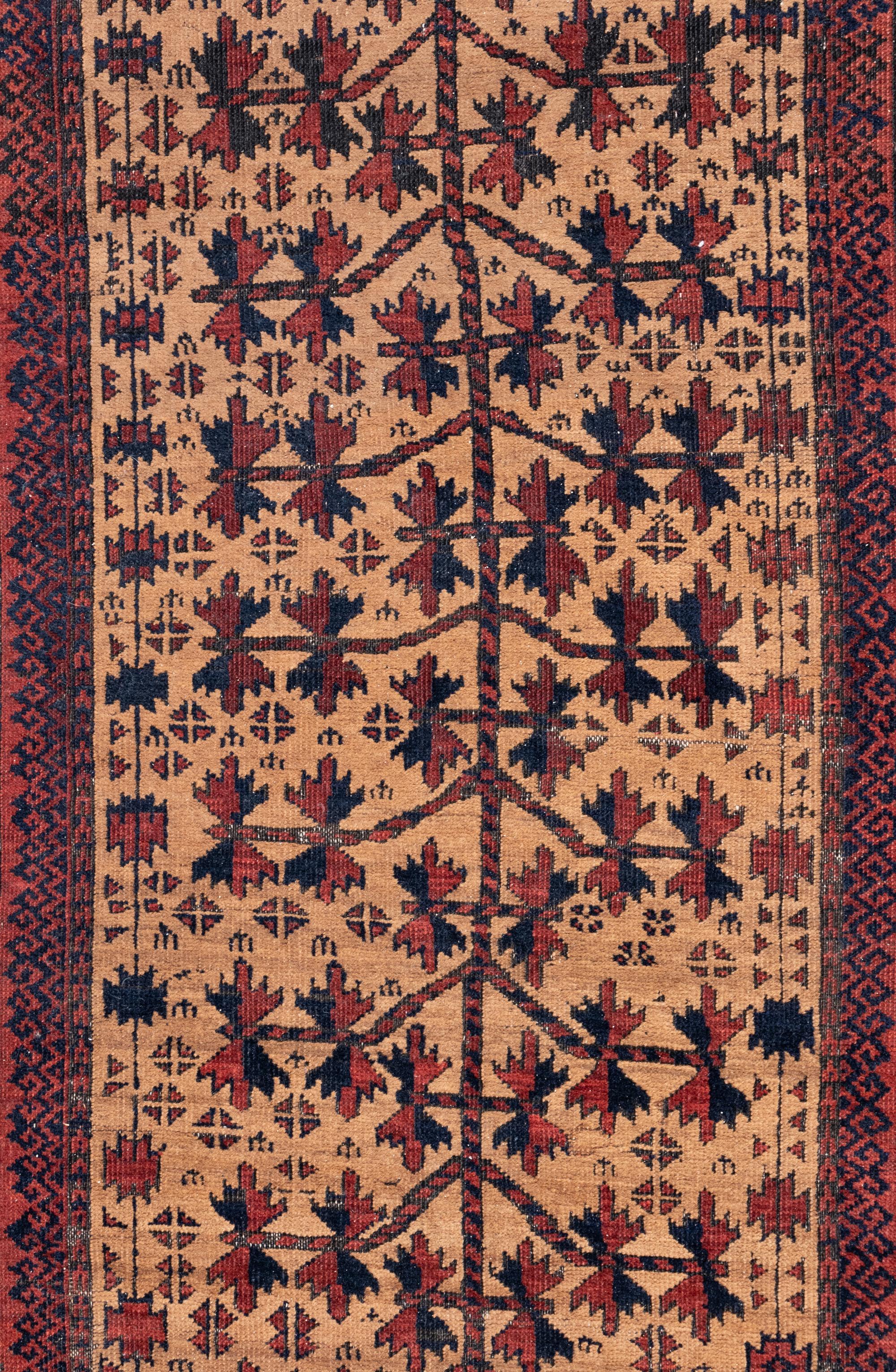 An Afghan Runner