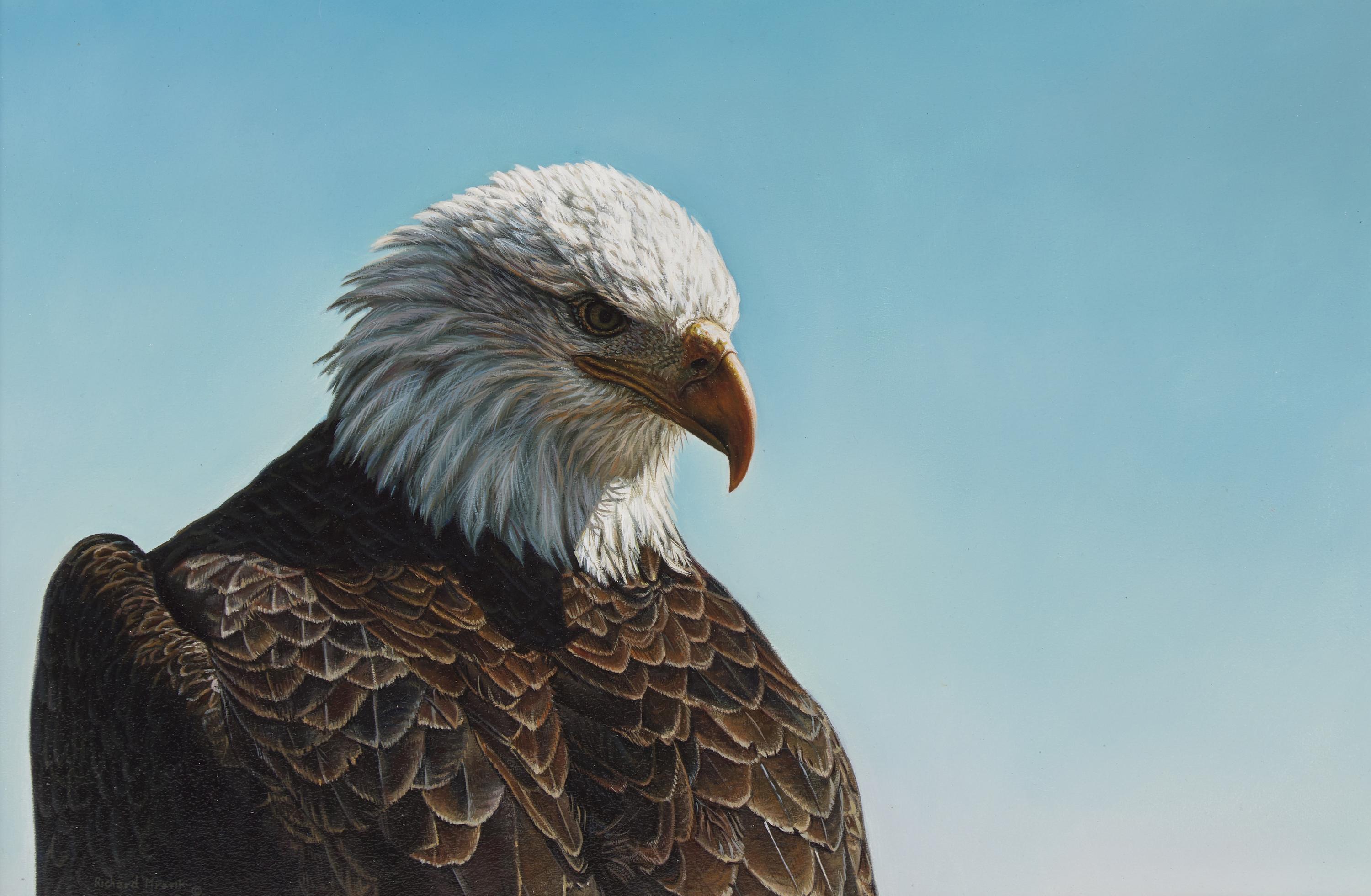 Richard Mravik (Canadian, b. 1973) — Vigilance (Bald Eagle) , 2001