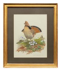 Group of Nine Works, American Bird Series, 1988