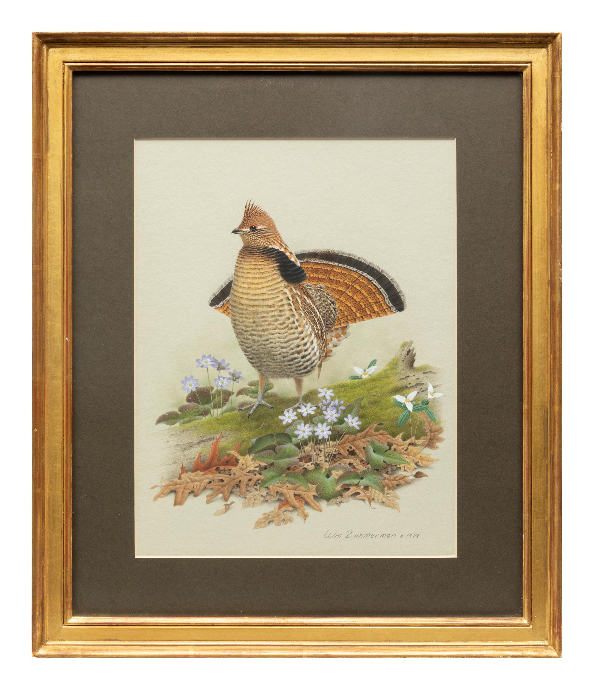 Group of Nine Works, American Bird Series, 1988