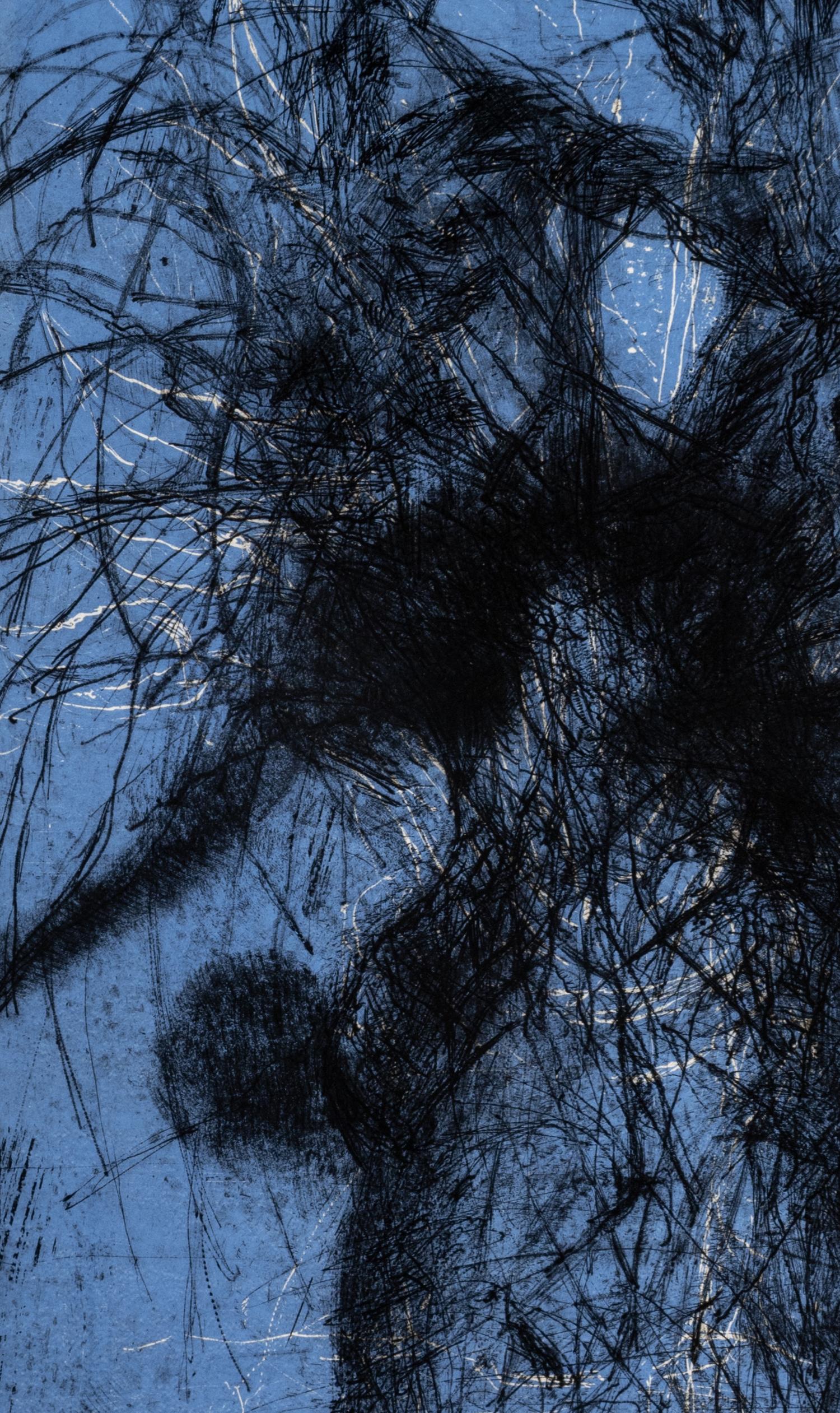 Blue (diptych), 1981