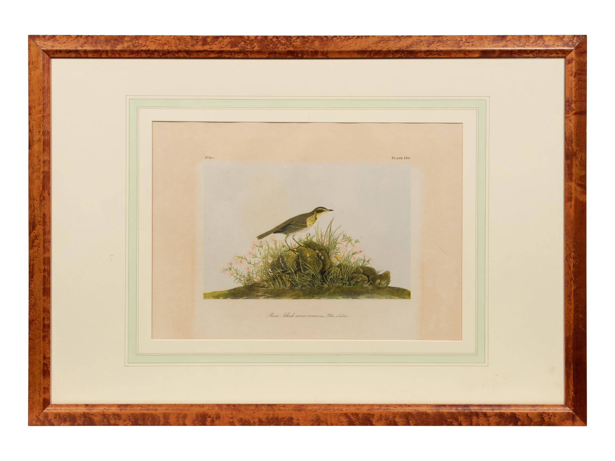 After John James Audubon (American, 1785-1851)