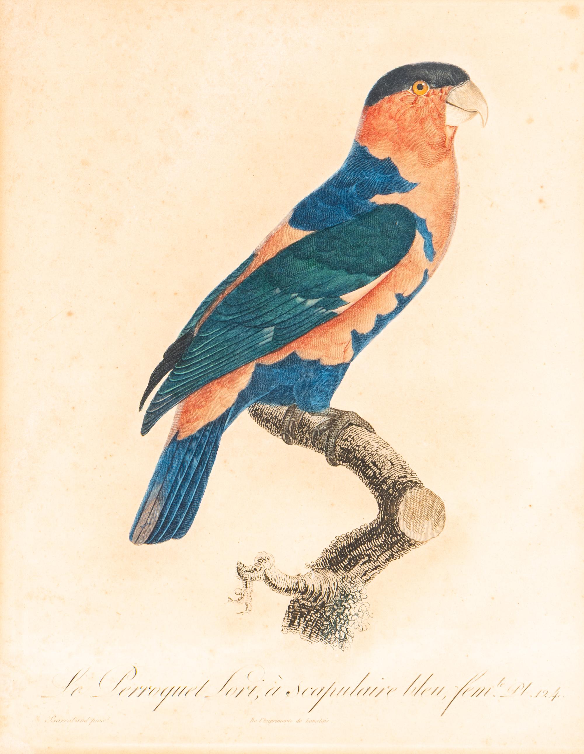 A Group of Nine Hand-Colored Engravings of Birds