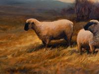 Sheep in a Grassy Field