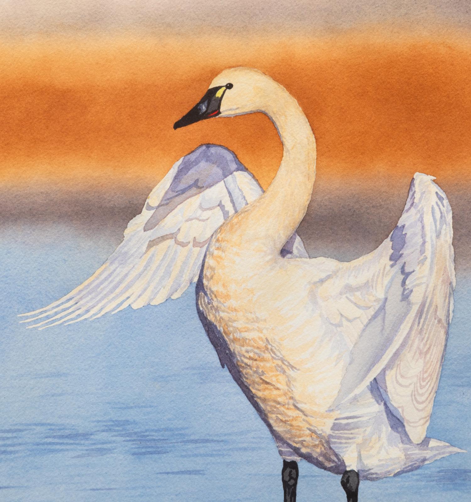 Tundra Swan , 2004