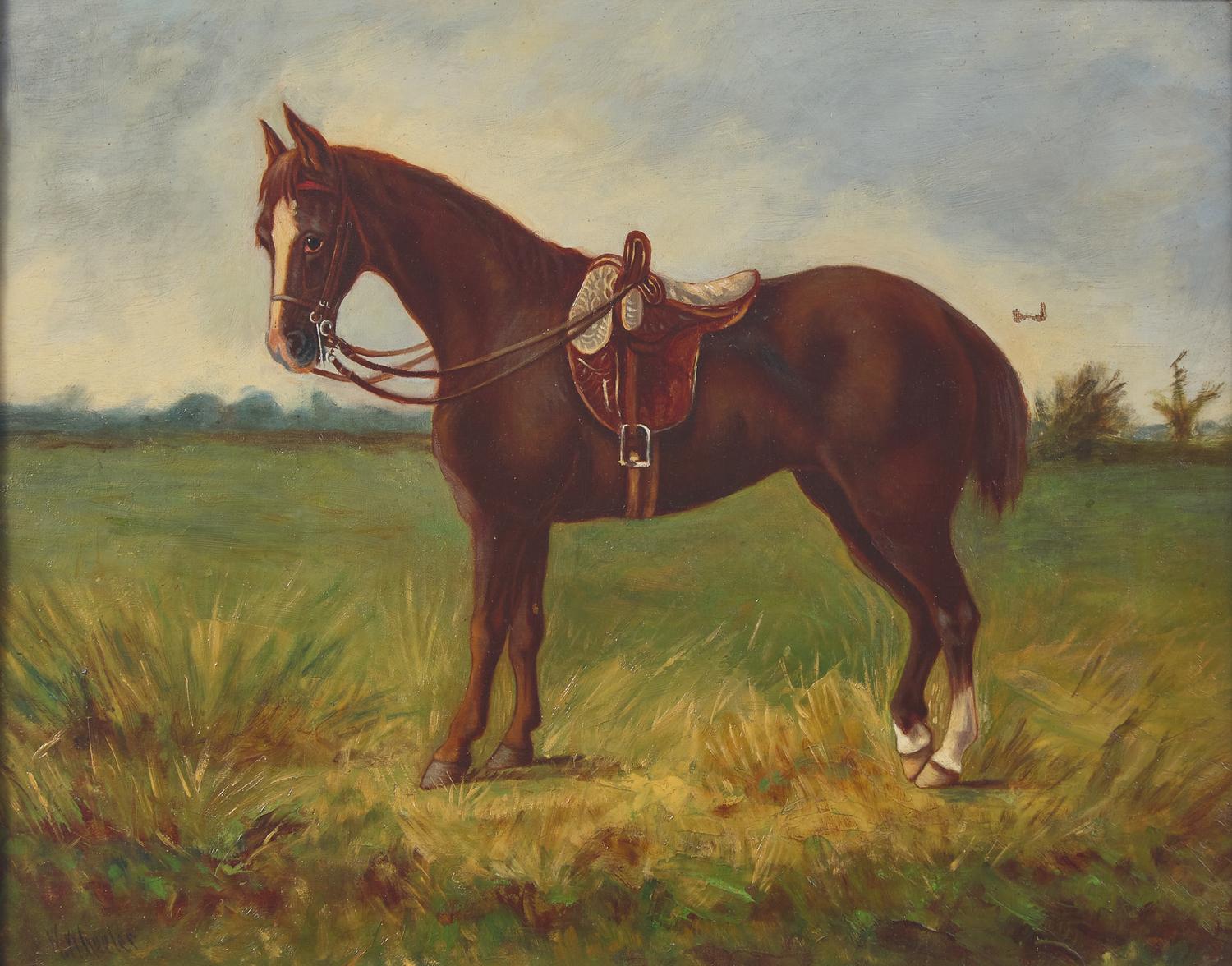 Horse