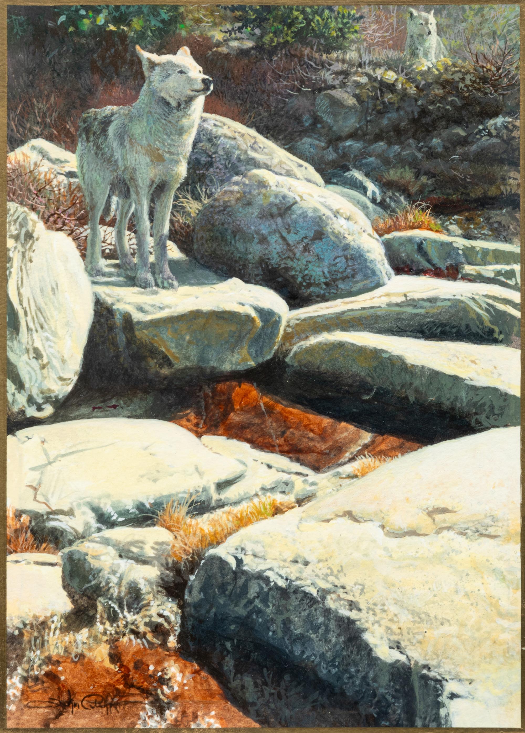 Eastern Timber Wolf , 1999