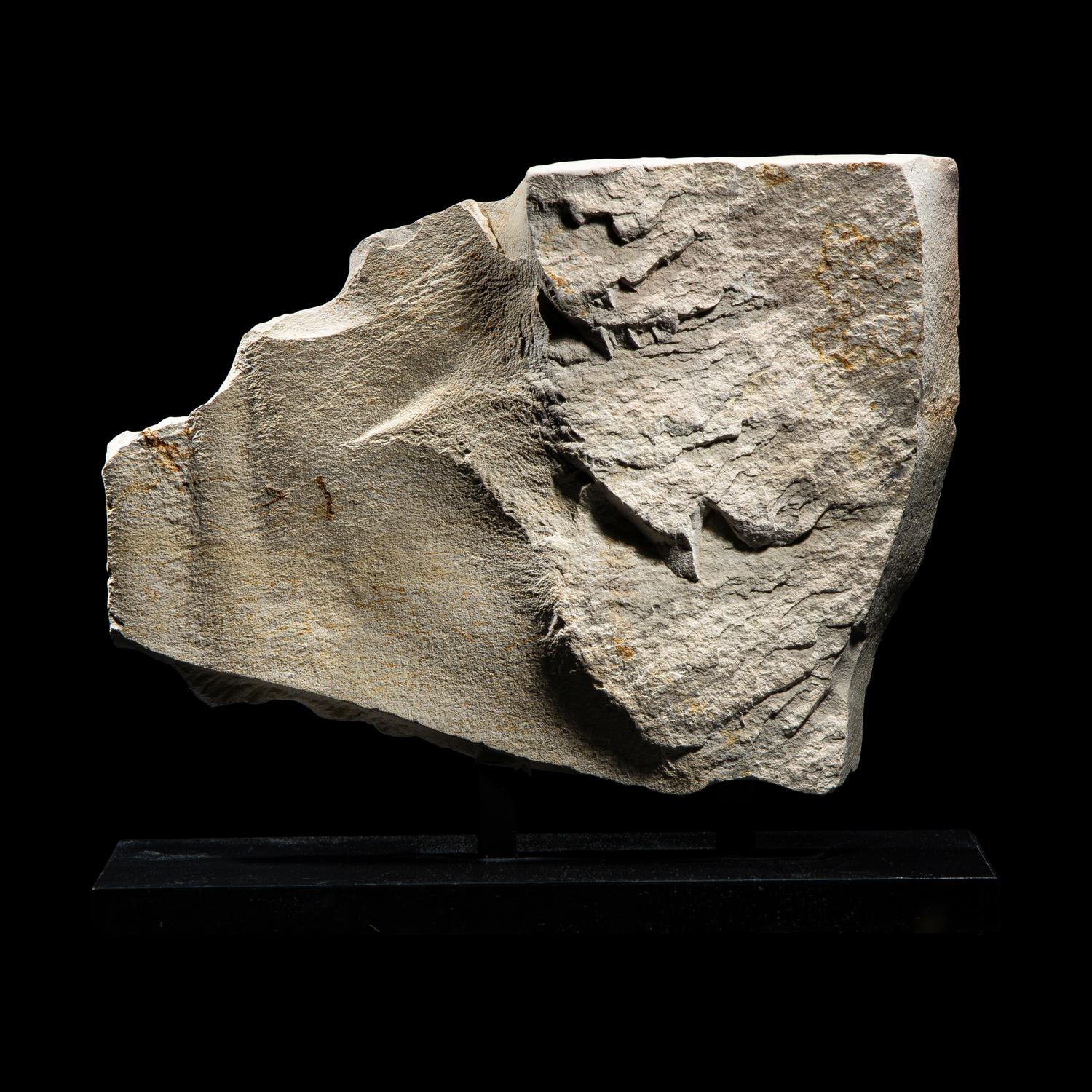 An Egyptian Painted Limestone Relief Fragment