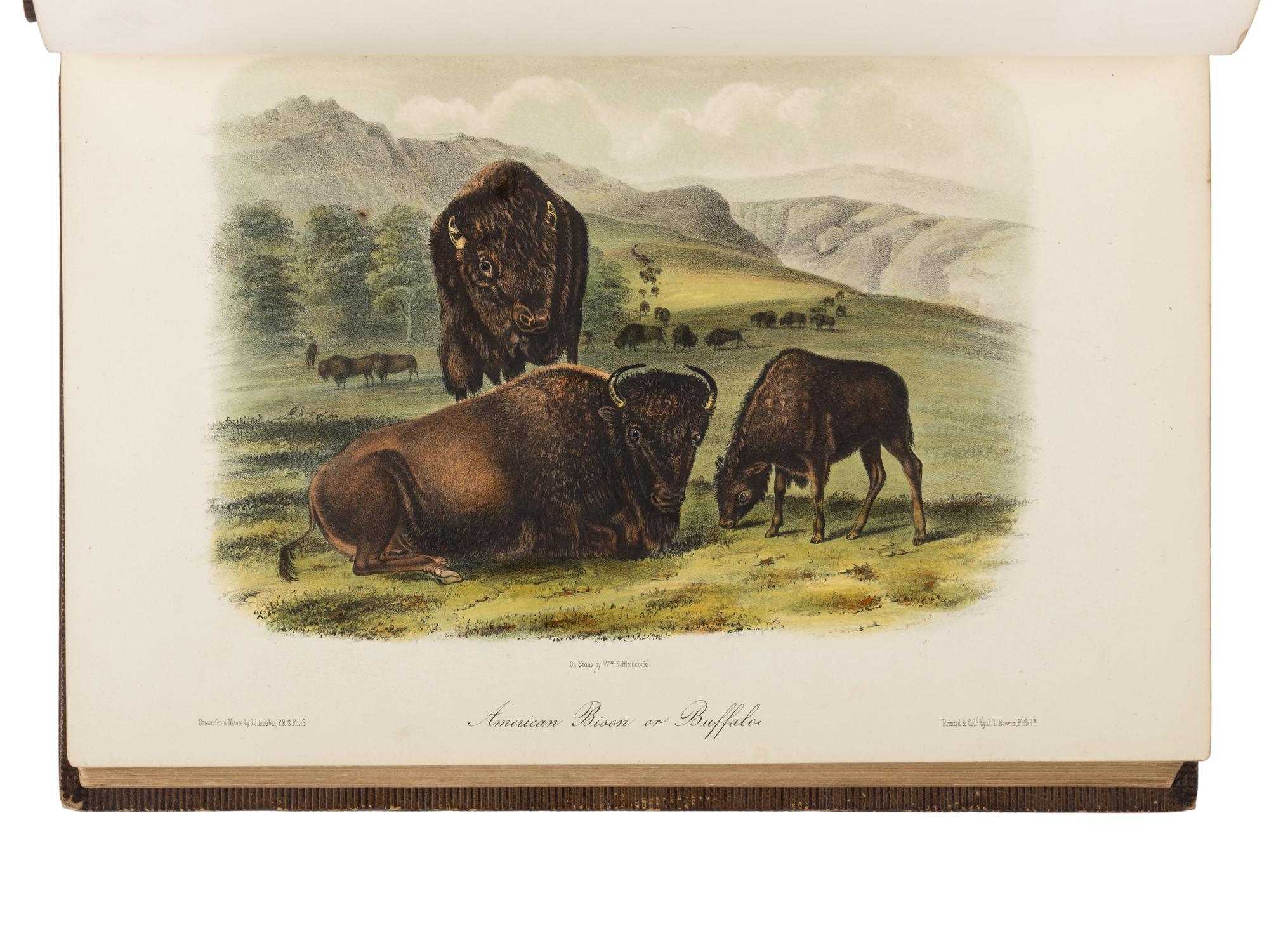 AUDUBON, John James (1785-1851) and John BACHMAN (1790-1874). The Quadrupeds of North America . New York: V.G. Audubon, 1849, 1851, 1854.