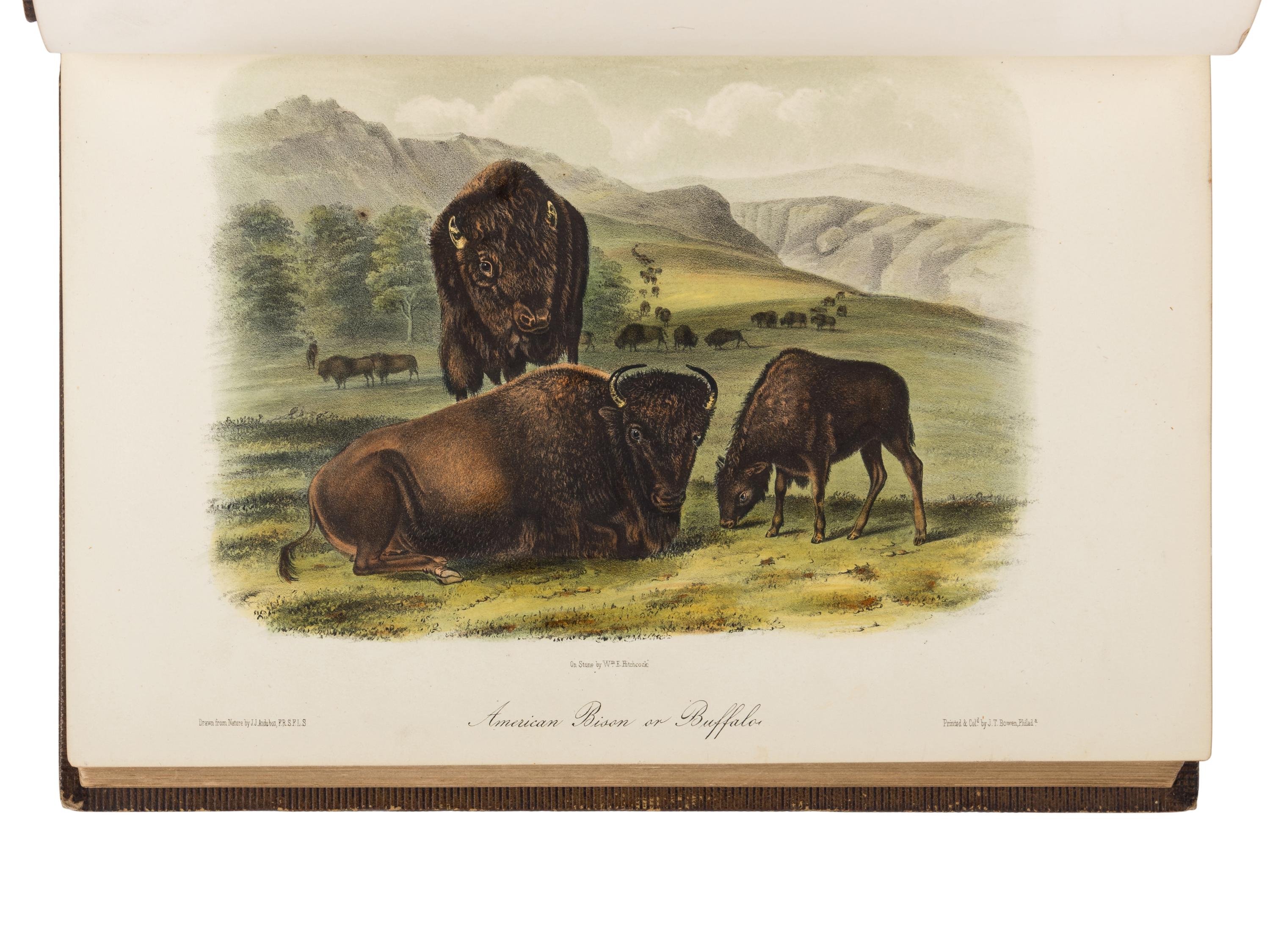 AUDUBON, John James (1785-1851) and John BACHMAN (1790-1874). The Quadrupeds of North America . New York: V.G. Audubon, 1849, 1851, 1854.