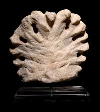 An Early Christian or Byzantine Marble Leaf from a Capital