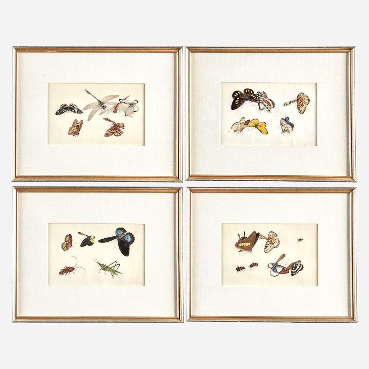 A Suite of Twelve Framed Chinese Export Paintings Sunqua (Chinese, active 1830-1870), Qing Dynasty