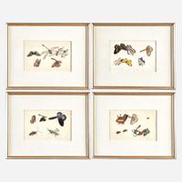 A Suite of Twelve Framed Chinese Export Paintings Sunqua (Chinese, active 1830-1870), Qing Dynasty