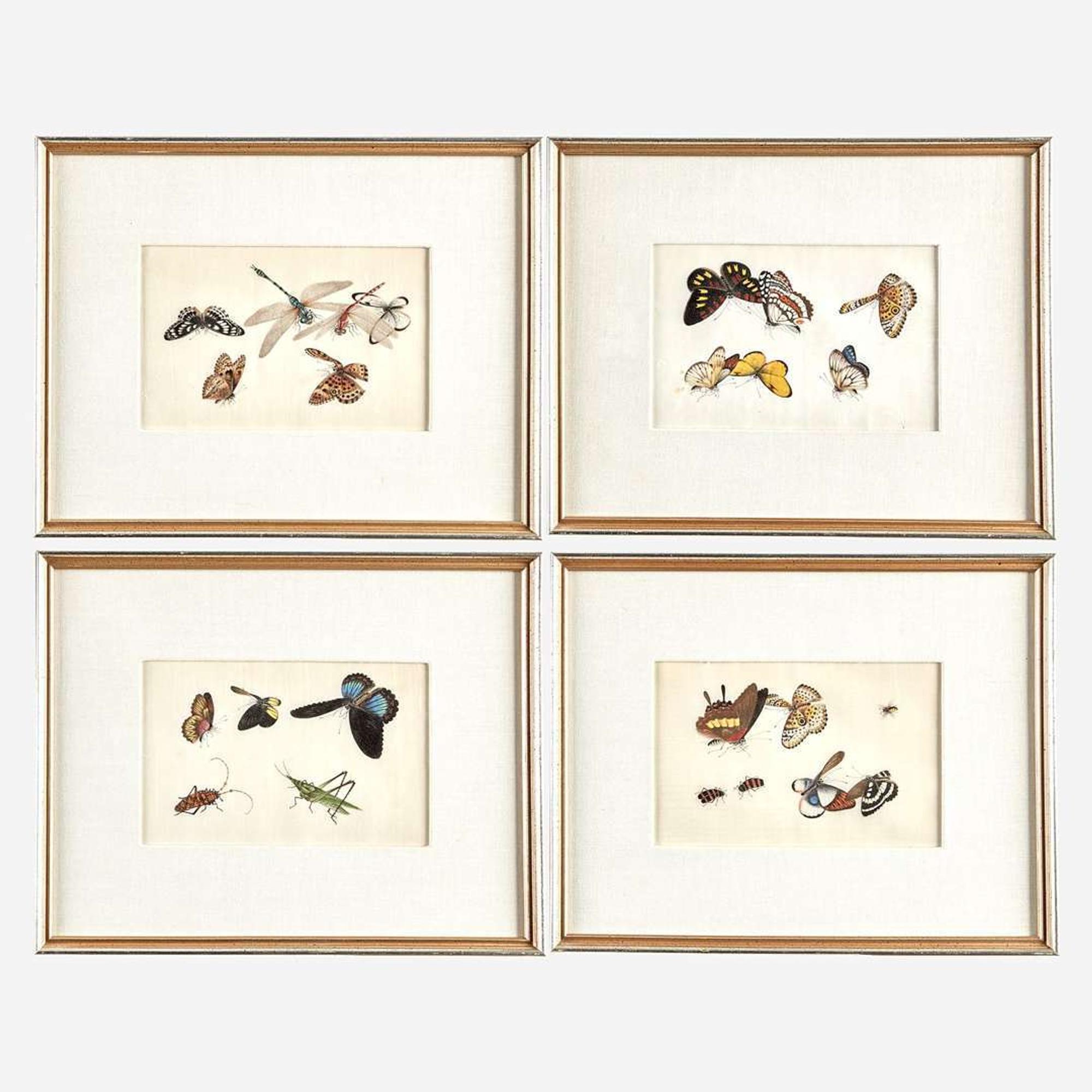 A Suite of Twelve Framed Chinese Export Paintings Sunqua (Chinese, active 1830-1870), Qing Dynasty