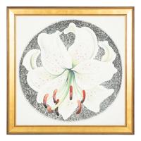 White Lily in Circle, 1982