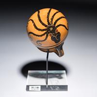 A Greek Black-Figured Mug with an Octopus