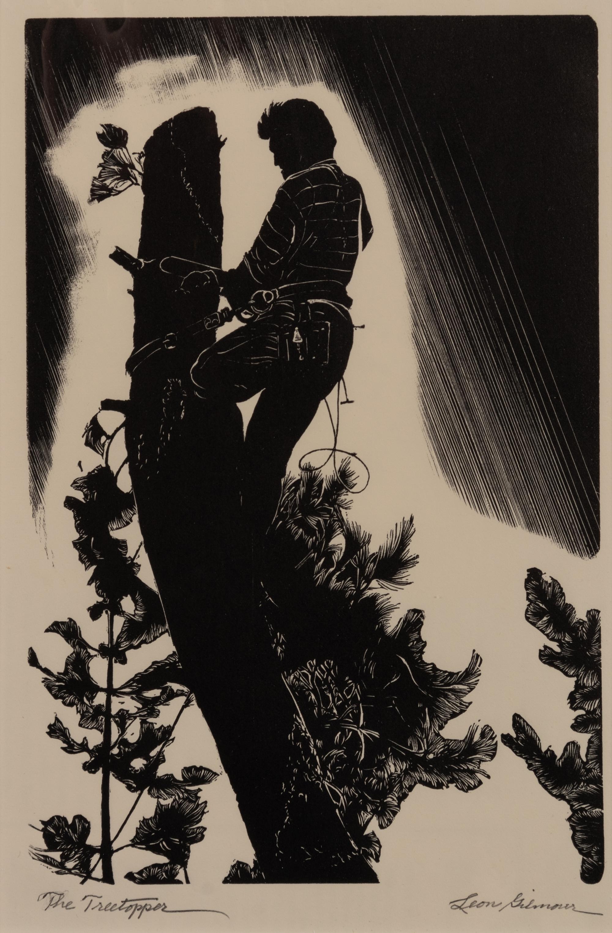 A pair of prints ( The Tree Topper; Volcanic Rock )