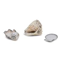 Three Buccellati Silver-Wrapped Shells