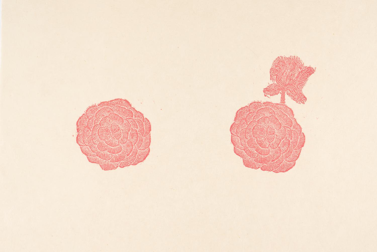 Red Linoleum , 1996