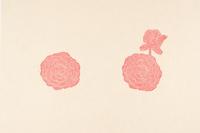 Red Linoleum , 1996