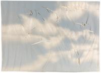 Untitled from Wash and Tear Series