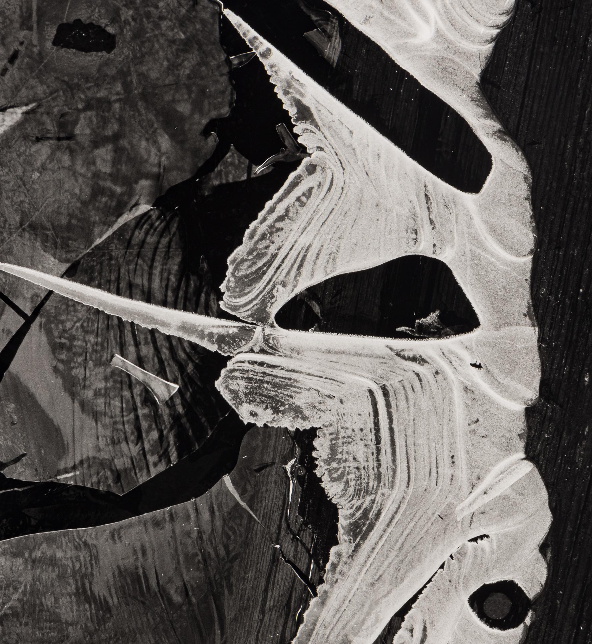 Brett Weston (1911-1993) Ice, 1975