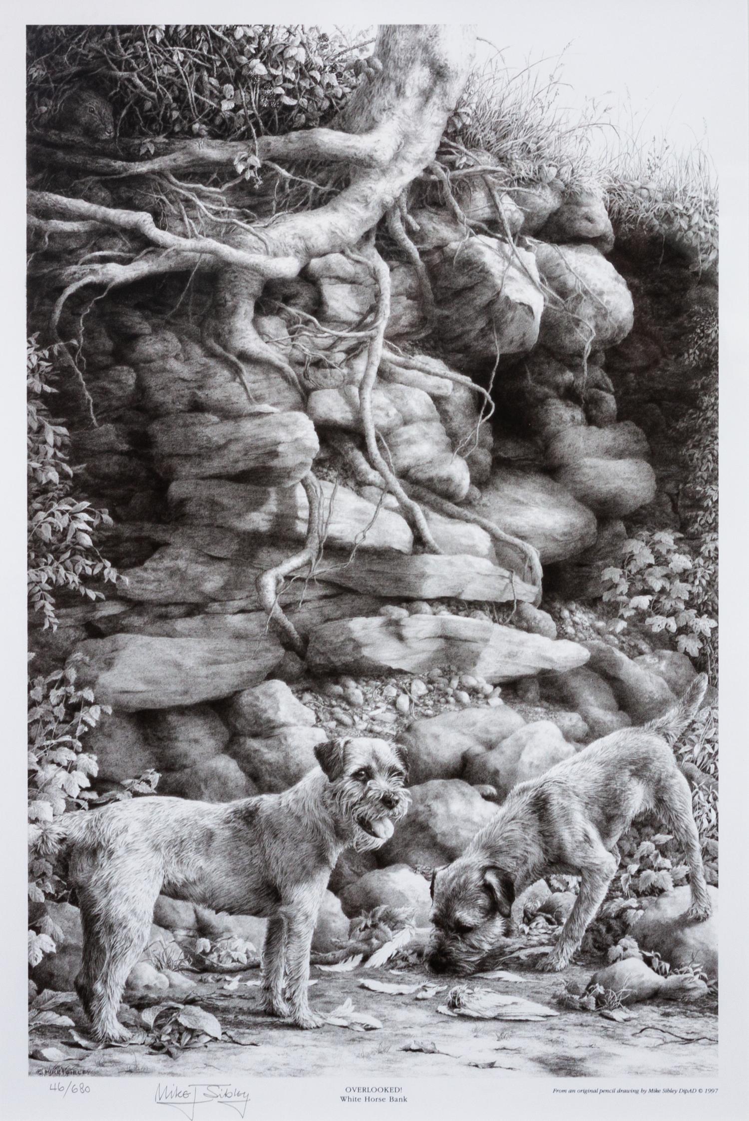 Two Photomechanical Reproductions of Border Terriers Larger: 15 3/4 x 21 1/4 inches.