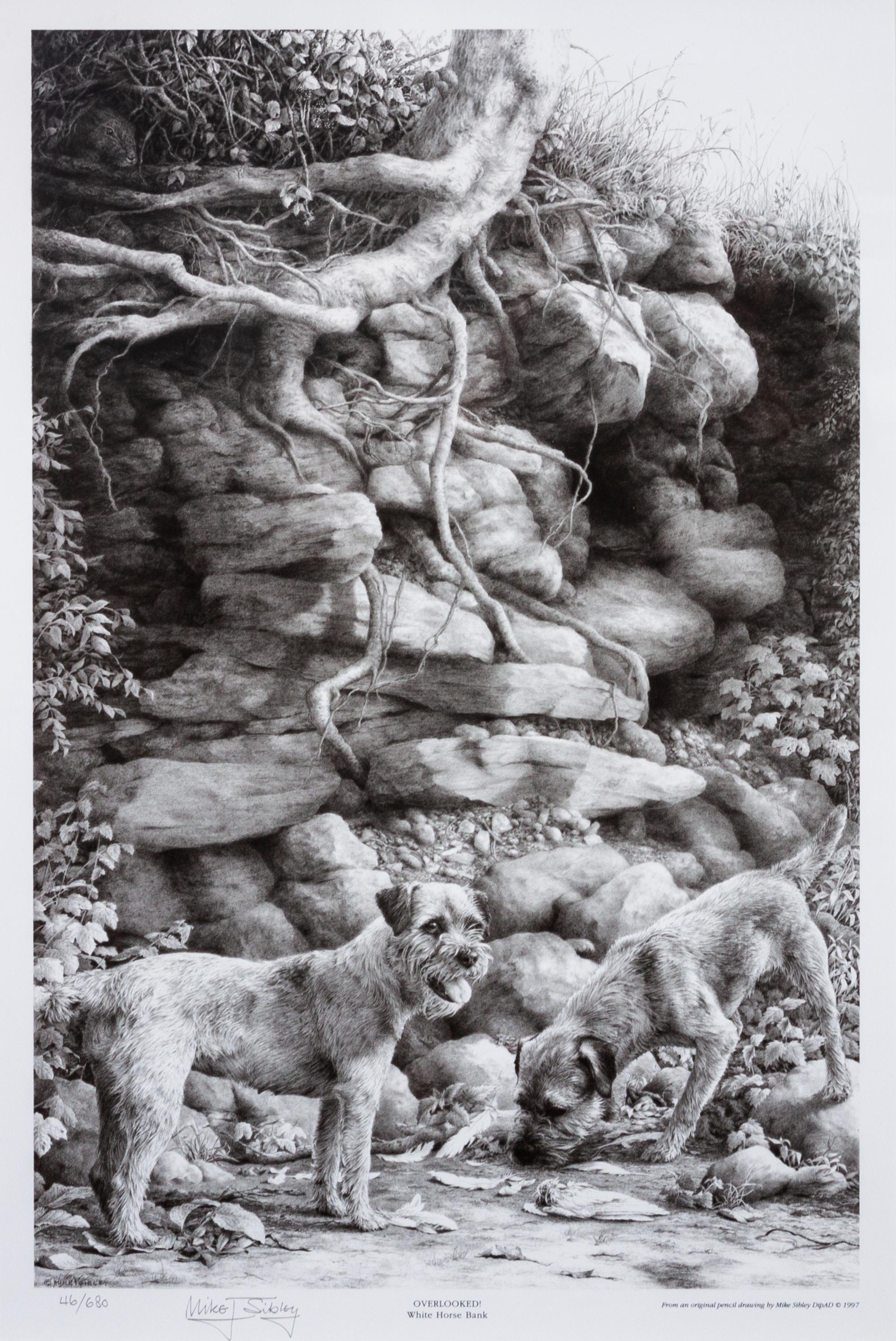 Two Photomechanical Reproductions of Border Terriers Larger: 15 3/4 x 21 1/4 inches.