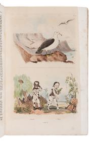 [NATURAL HISTORY]. GUERIN, Félix Édouard (1799-1874). Dictionnaire pittoresque d'histoire naturelle et des phénomènes de la nature . Paris: Au Bureau de Souscription, 1834-1839.