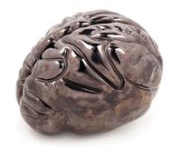 Katy Schimert, (American, b. 1963), Brain, 2001