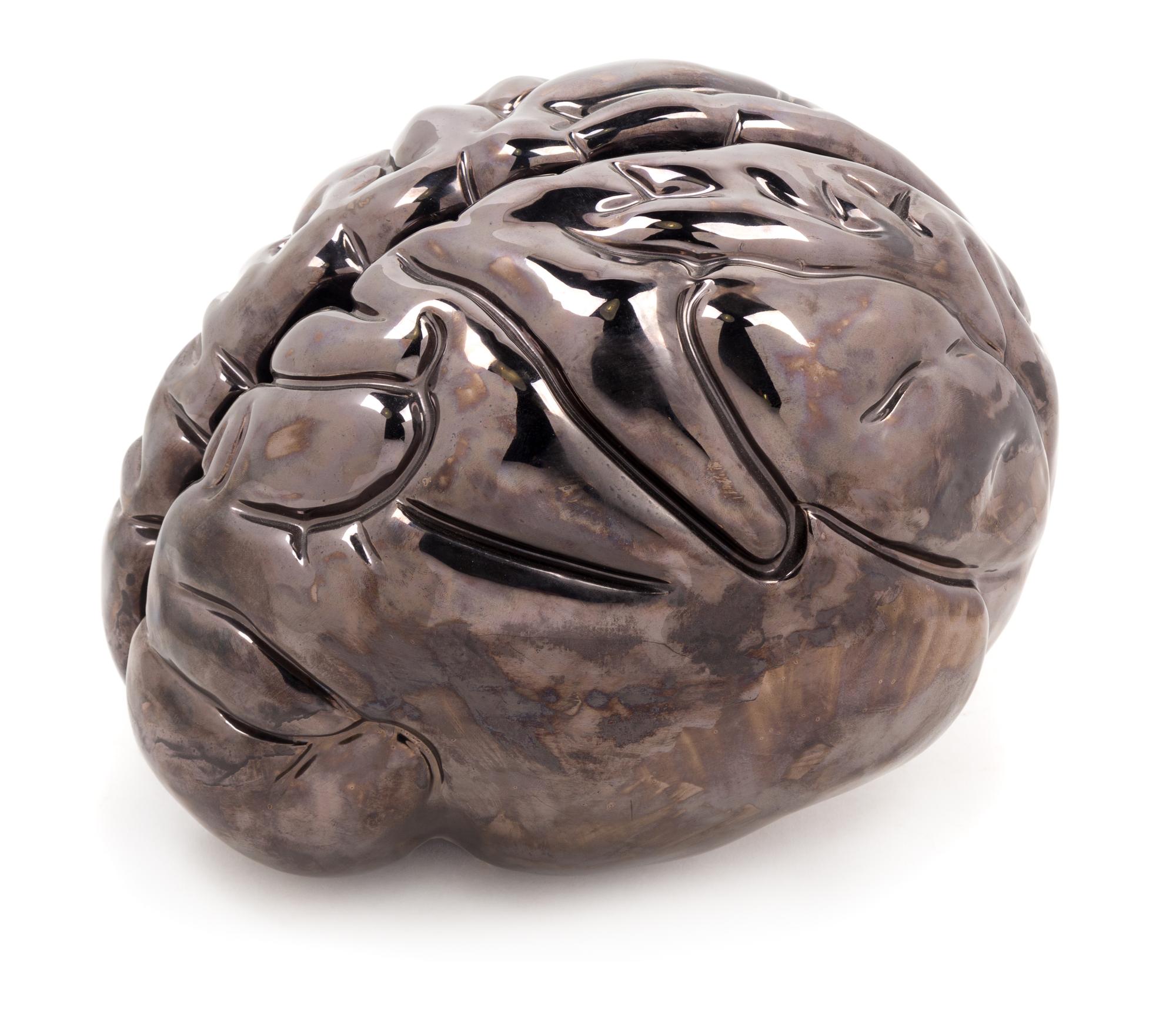 Katy Schimert, (American, b. 1963), Brain, 2001