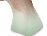 A Daum Pâte de Verre Appalousa Sculpture
