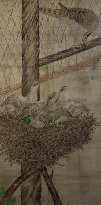 Bird in Nest