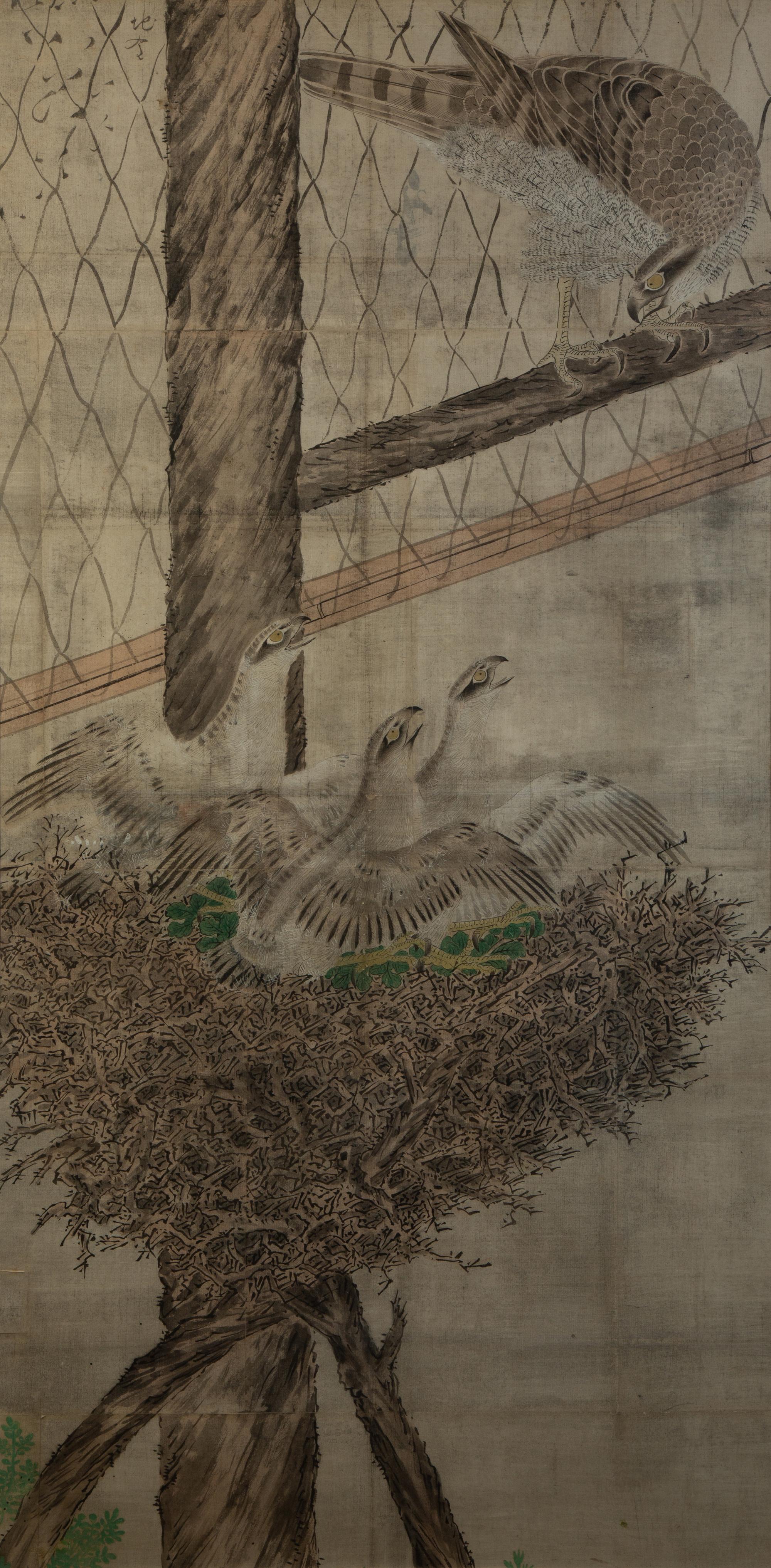 Bird in Nest