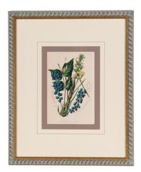A Set of Six Hand-Colored Botanical Lithographs from L'illustration Horticole: Journal Special Des Serres Et Des Jardins
