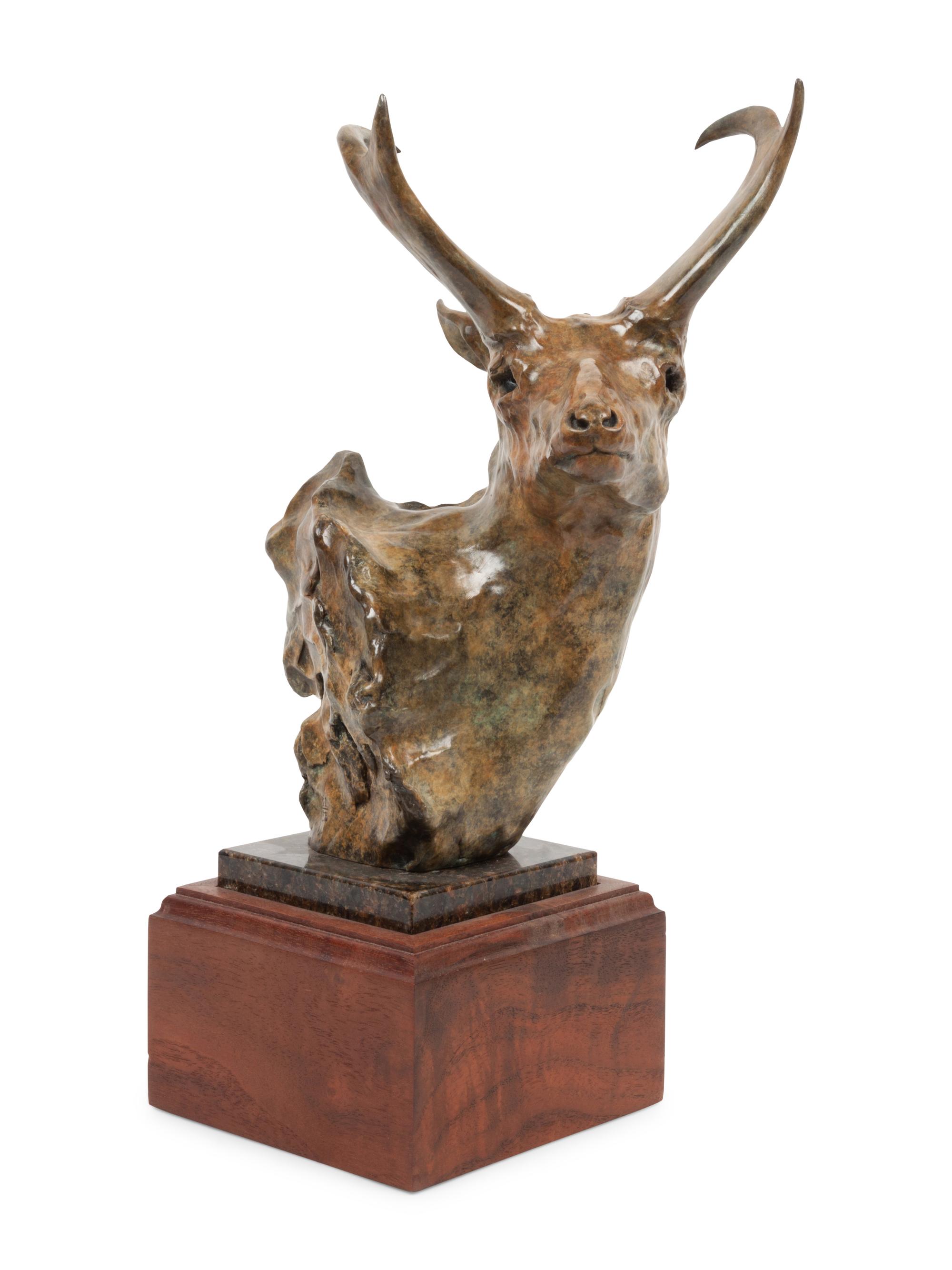 Antelope , edition 31/35