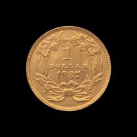An 1887 Indian Princess $1 Gold Coin