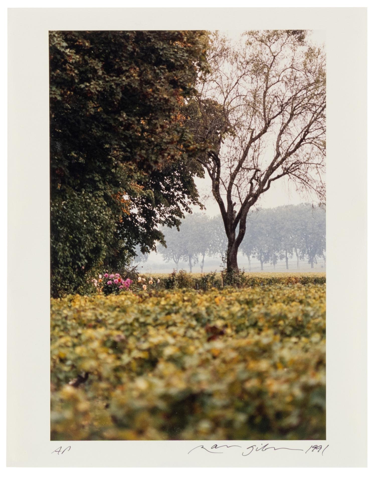 Six Works, 1991-1994
