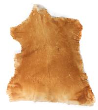 Three Native Tanned Hides Length of largest approximately 82 x 71 inches.