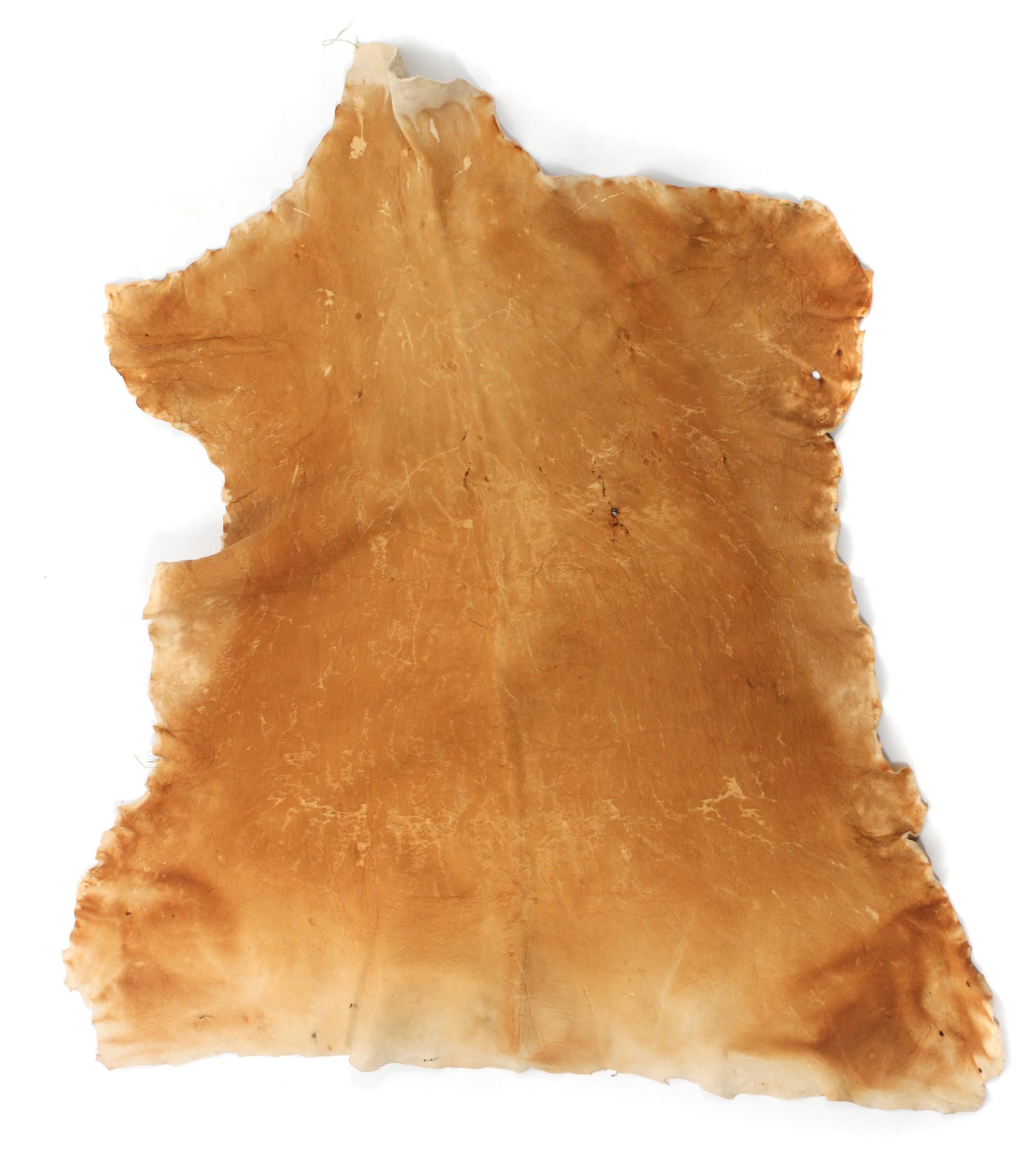 Three Native Tanned Hides Length of largest approximately 82 x 71 inches.
