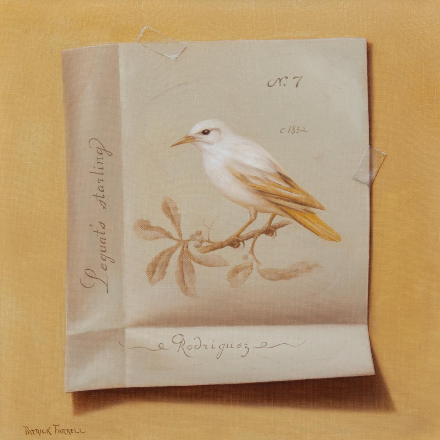 Patrick Farrell, (Wisconsin, 1940-2016), Leguat's Starling, 1974