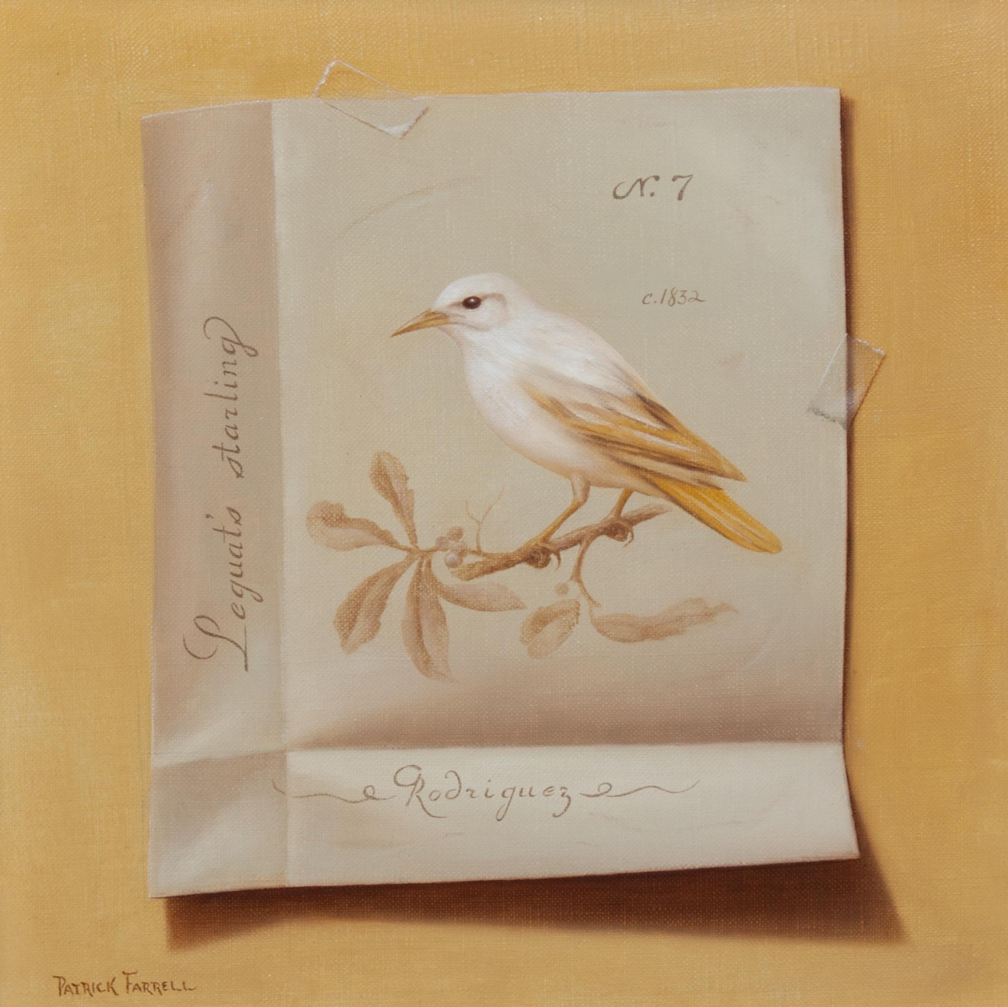 Patrick Farrell, (Wisconsin, 1940-2016), Leguat's Starling, 1974
