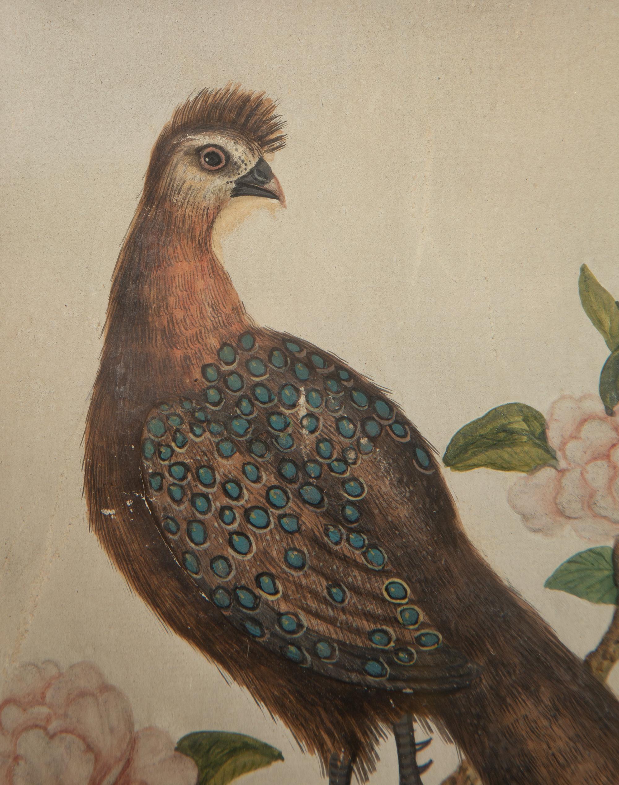 A Watercolor and Gouache Bird Illustration in the Manner of Samuel Dixon