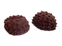 Brown Pair