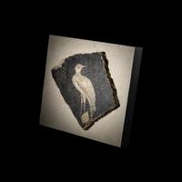 A Roman Fresco Fragment with a Heron
