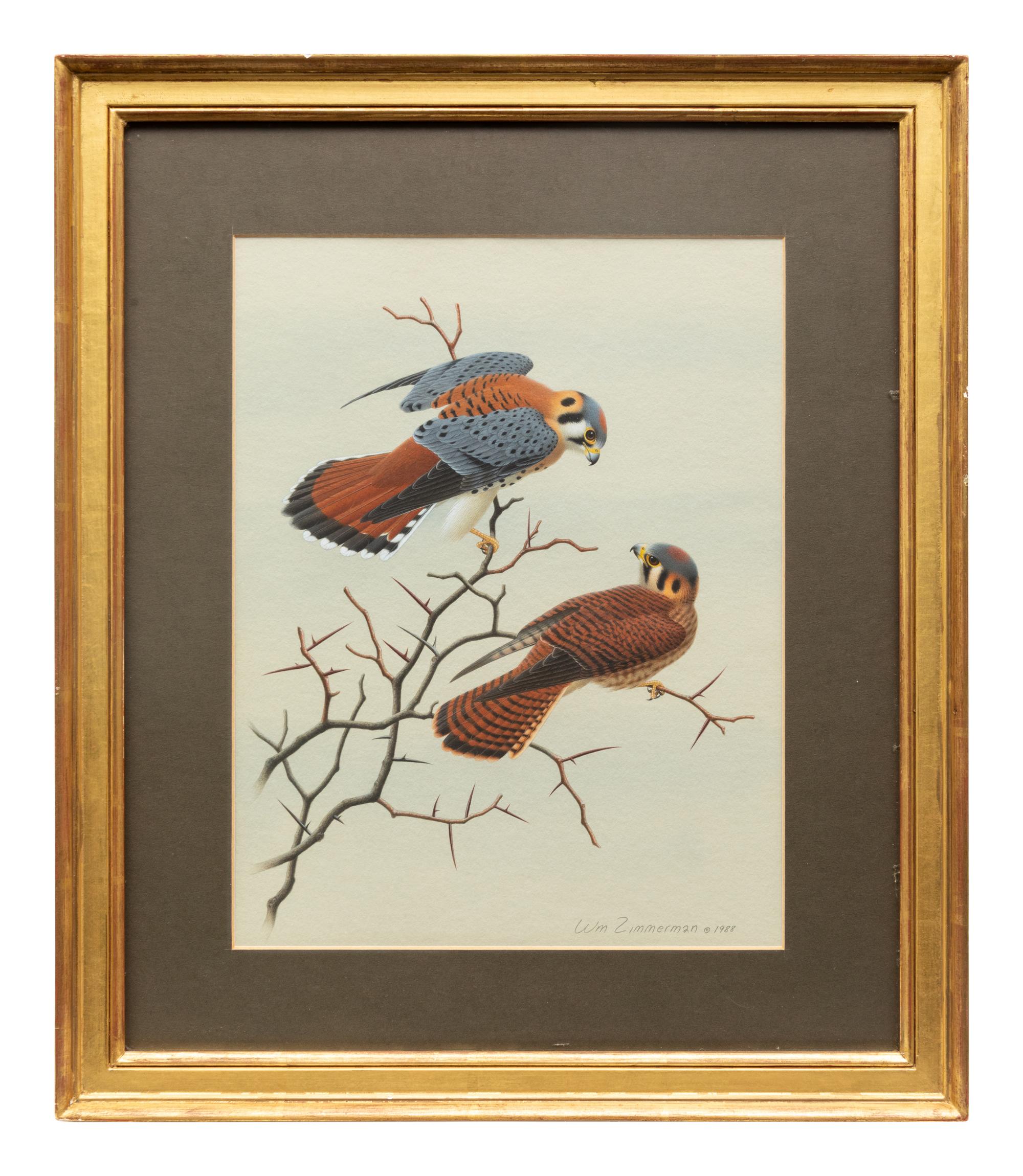 Group of Nine Works, American Bird Series, 1988