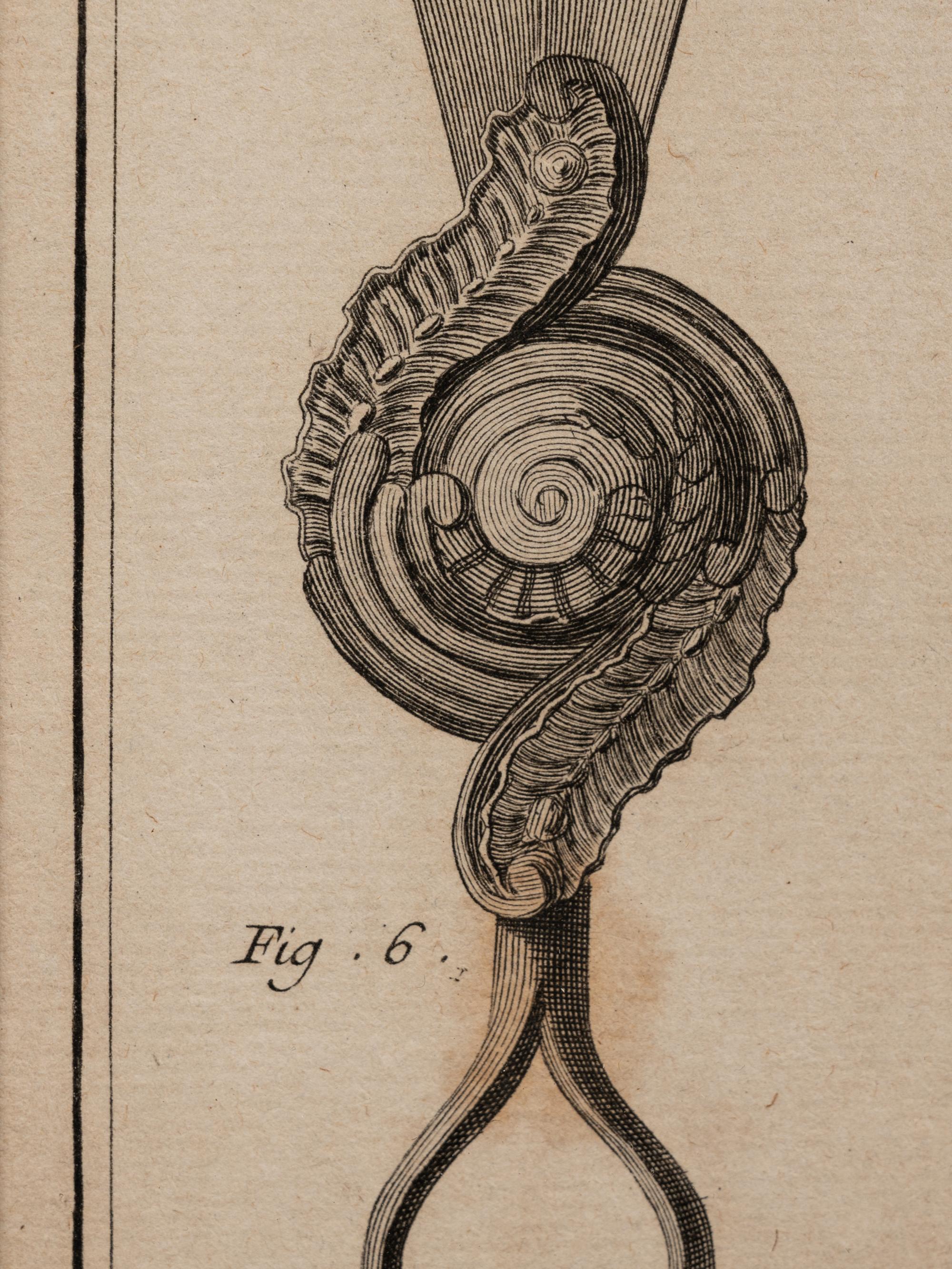 Four Engravings Depicting Horse Spurs, after Louis-Jacques Goussier