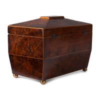 A Regency Burlwood Tea Caddy